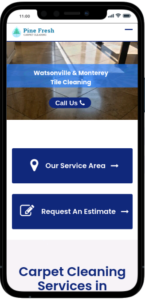 website designs for carpet cleaners, website for carpet cleaners